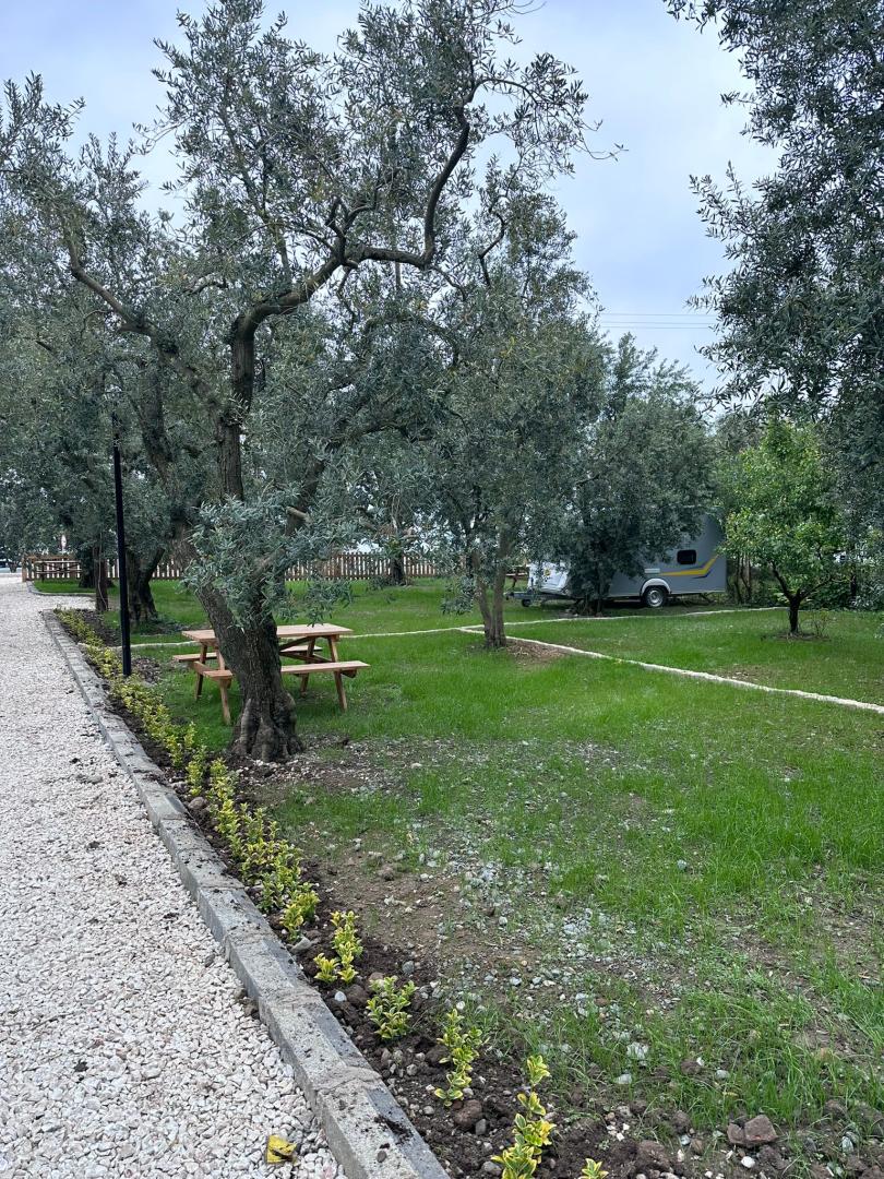 İznik Çadır Alanı